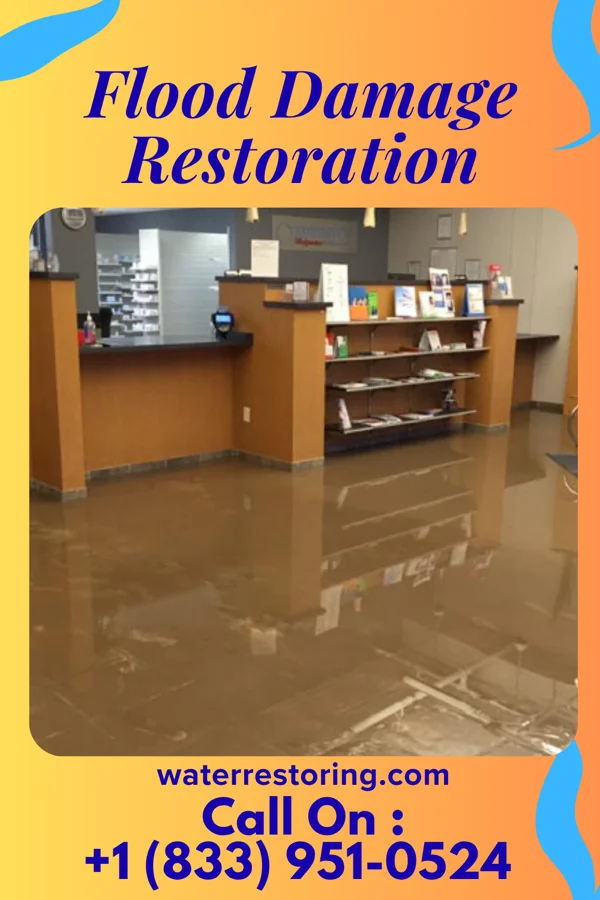 Flood Damage Restoration in Lehr, ND